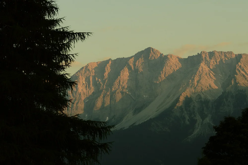 Montagne illuminate dal sole al tramonto, incorniciate da abeti in ombra